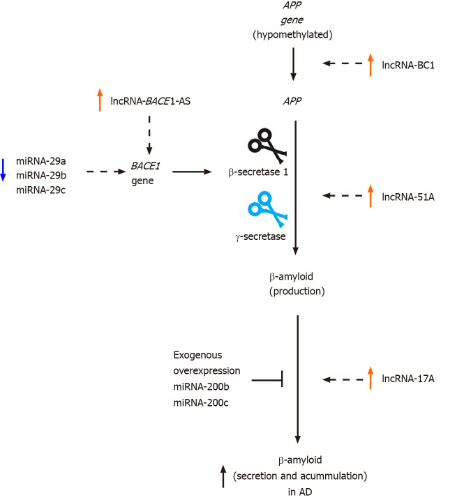 Epigenetic basis of Alzheimer disease.