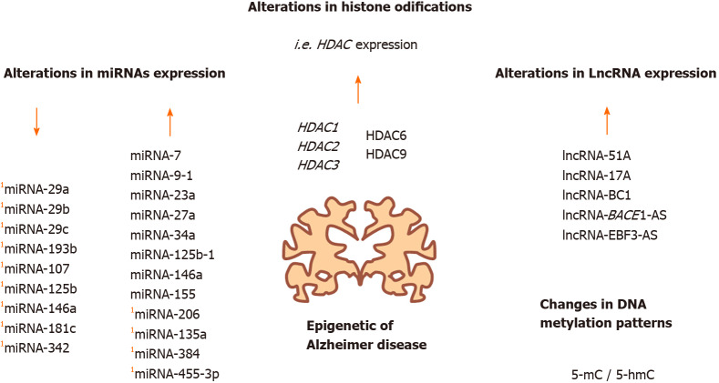 Epigenetic basis of Alzheimer disease.