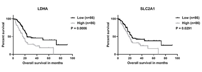 Lactate dehydrogenase A inhibition by small molecular entities: steps in the right direction.