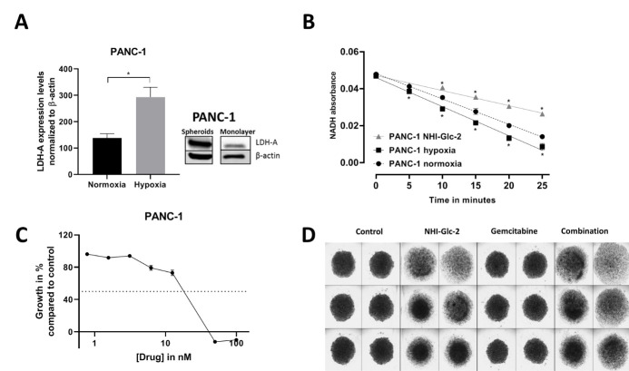 Lactate dehydrogenase A inhibition by small molecular entities: steps in the right direction.