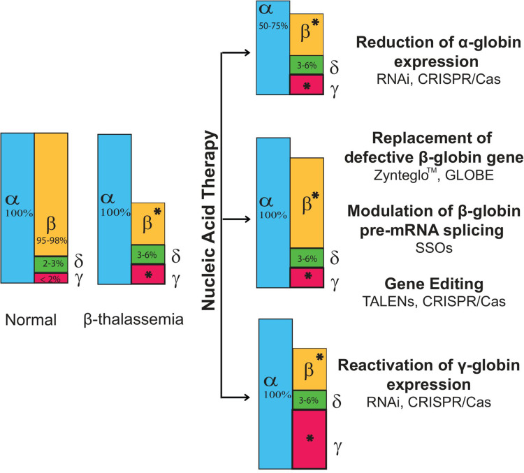 Nucleic Acid Therapy for β-Thalassemia.