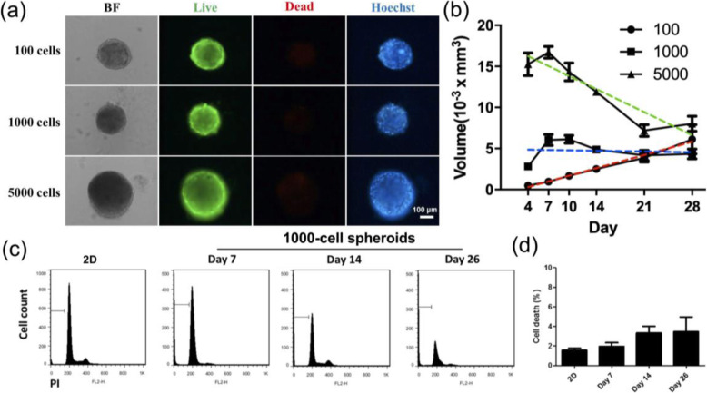 Development of an In Vitro 3D Model for Investigating Ligamentum Flavum Hypertrophy.