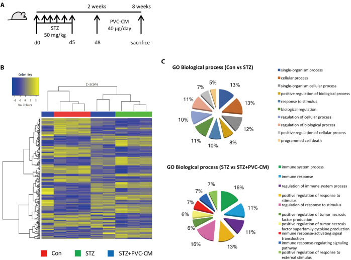 Altered Gene Expression Profiles in the Lungs of Streptozotocin-induced Diabetic Mice.