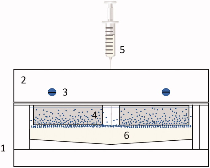 Effect of silica nano-spheres on adhesion of oral bacteria and human fibroblasts.