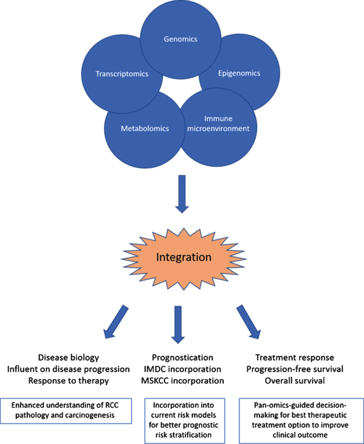 The Pan-Omics Landscape of Renal Cell Carcinoma and Its Implication on Future Clinical Practice.