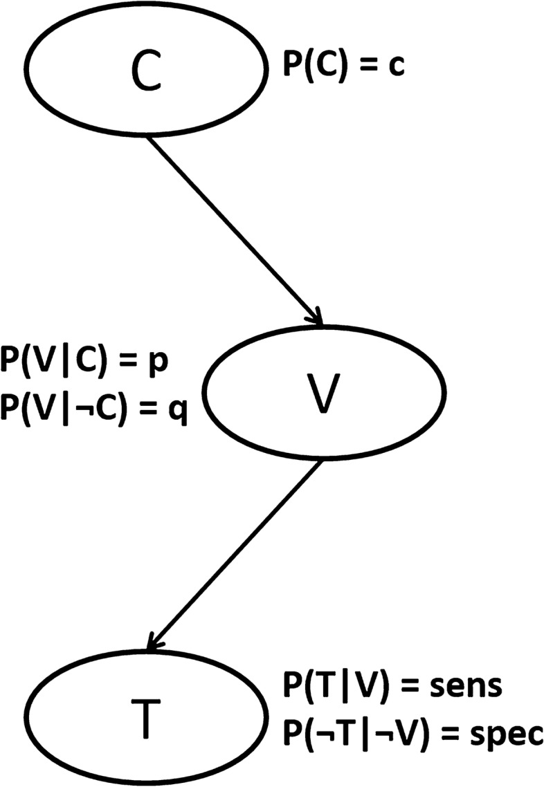 The Epistemology of a Positive SARS-CoV-2 Test