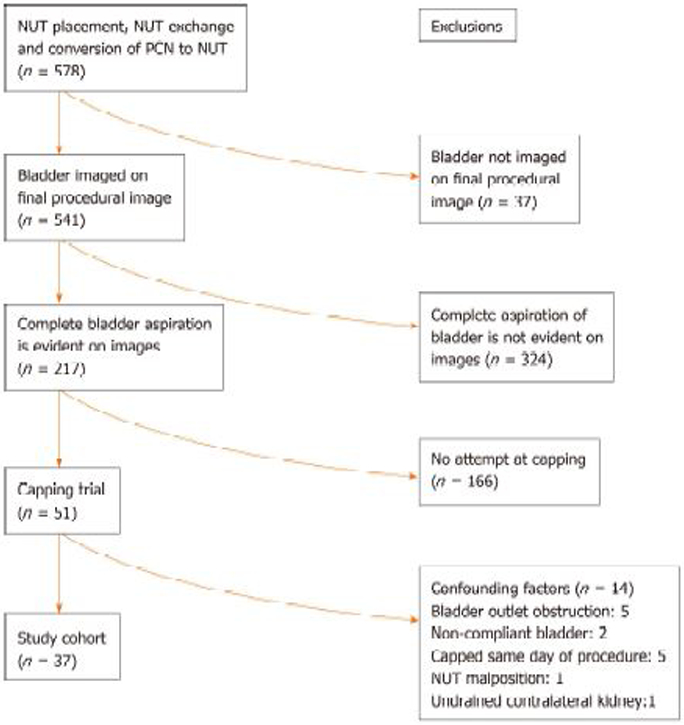 Estimation of successful capping with complete aspiration of bladder <i>via</i> nephroureterostomy tube.