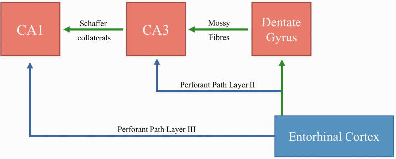 Hippocampal and Amygdalar Volume Changes in Major Depressive Disorder: A Targeted Review and Focus on Stress.