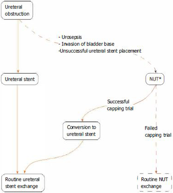 Estimation of successful capping with complete aspiration of bladder <i>via</i> nephroureterostomy tube.