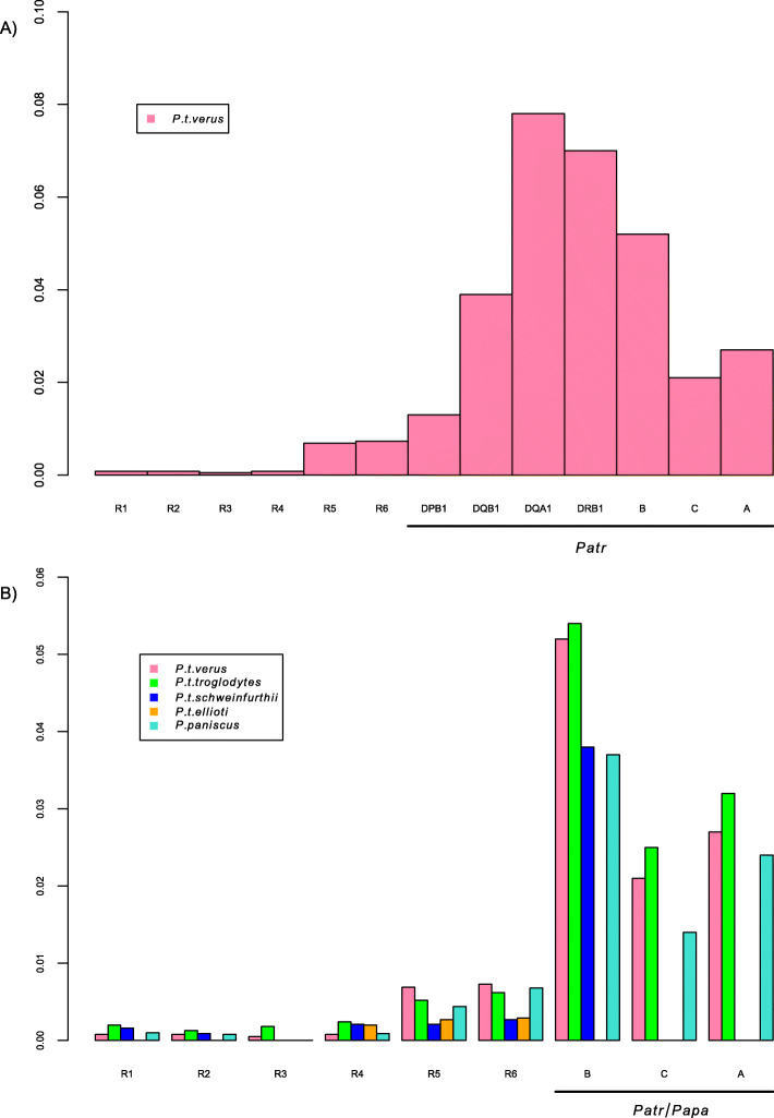 Similar patterns of genetic diversity and linkage disequilibrium in Western chimpanzees (Pan troglodytes verus) and humans indicate highly conserved mechanisms of MHC molecular evolution.