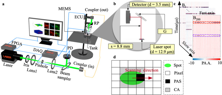 Spatial weight matrix in dimensionality reduction reconstruction for micro-electromechanical system-based photoacoustic microscopy.