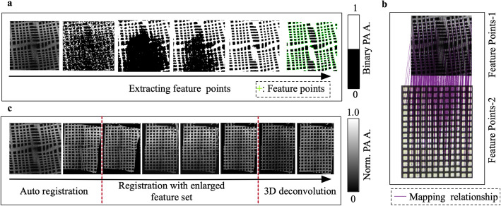 Spatial weight matrix in dimensionality reduction reconstruction for micro-electromechanical system-based photoacoustic microscopy.