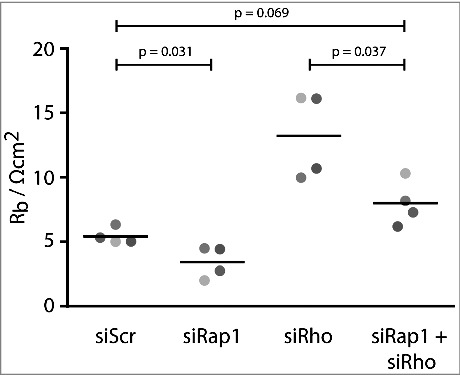 Multiple Rap1 effectors control Epac1-mediated tightening of endothelial junctions.