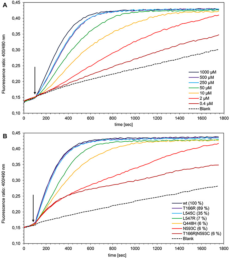 Developing a cell-bound detection system for the screening of oxidase activity using the fluorescent peroxide sensor roGFP2-Orp1.