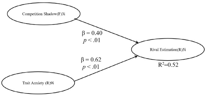 Competition Shadow: Anchoring to Fear Versus Hope in Estimating Rivals in Competition.