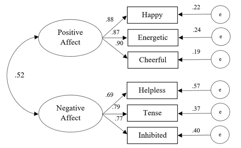 A Brief Version of the Implicit Positive and Negative Affect Test (IPANAT-18).