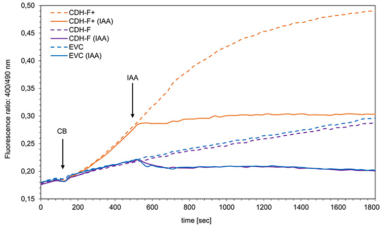 Developing a cell-bound detection system for the screening of oxidase activity using the fluorescent peroxide sensor roGFP2-Orp1.