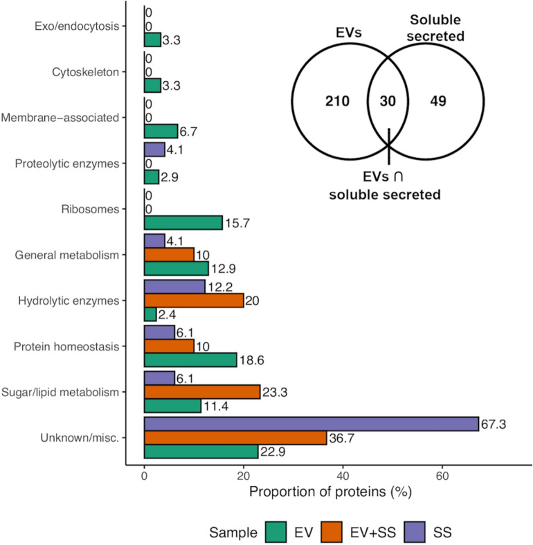 Extracellular vesicles from the apoplastic fungal wheat pathogen <i>Zymoseptoria tritici</i>.