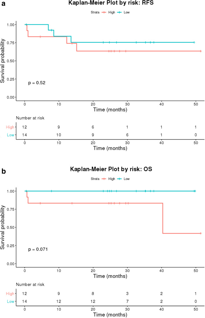 Determining the molecular landscape and impact on prognosis in HPV-associated head and neck cancer.