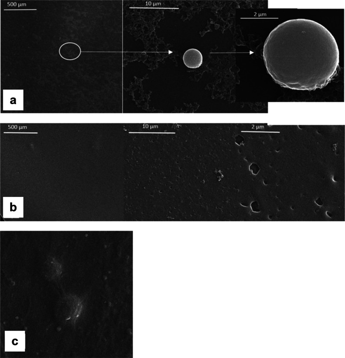 Development of tannic acid-enriched materials modified by poly(ethylene glycol) for potential applications as wound dressing.