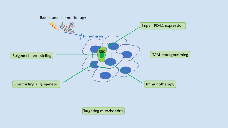 Eradication of CSCs: the roadmap for curing cancer.