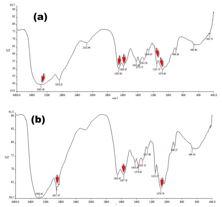 Development of chitosan-catechol conjugates as mucoadhesive polymer: assessment of acute oral toxicity in mice.