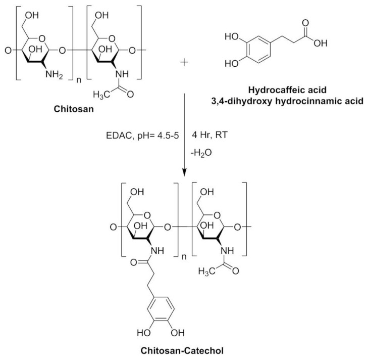 Development of chitosan-catechol conjugates as mucoadhesive polymer: assessment of acute oral toxicity in mice.