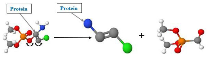 Assessment of the cytotoxic and mutagenic potential of dichlorvos (DDVP) using in silico classification model; a health hazard awareness in Nigeria.