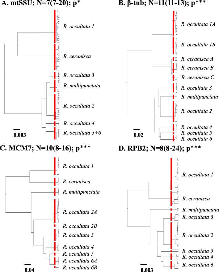 Species delimitation in the cyanolichen genus Rostania.