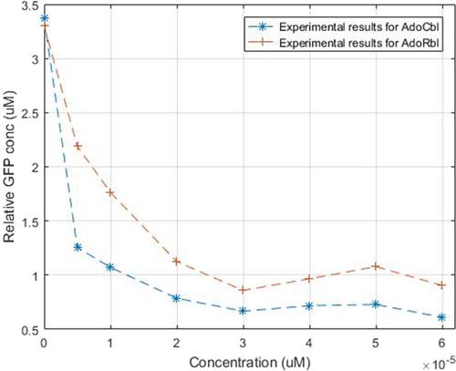 Using sliding mode observers to estimate BtuB concentration from measured vitamin B12 concentration