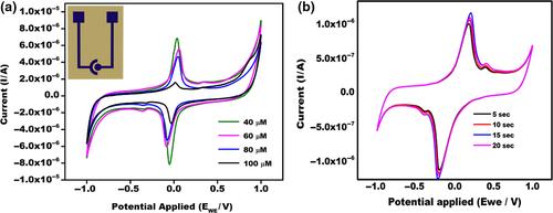 Detection of prostate cancer DNA using tetrapods based disposable paper ecofriendly biosensor device