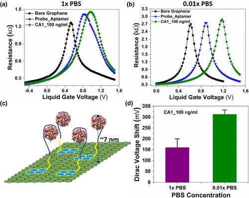 Detection of a multi-disease biomarker in saliva with graphene field effect transistors