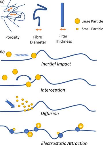 COVID-19: Facemasks, healthcare policies and risk factors in the crucial initial months of a global pandemic