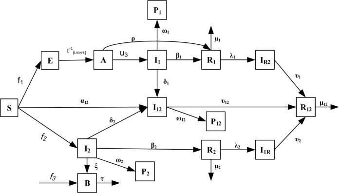 A dynamic optimal control model for COVID-19 and cholera co-infection in Yemen.