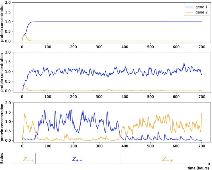 Reverse engineering of a mechanistic model of gene expression using metastability and temporal dynamics.