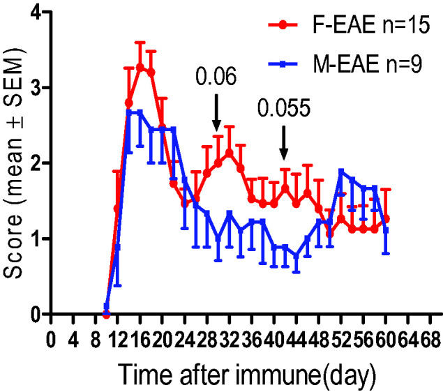 Sex Effect on Cardiac Damage in Mice With Experimental Autoimmune Encephalomyelitis.