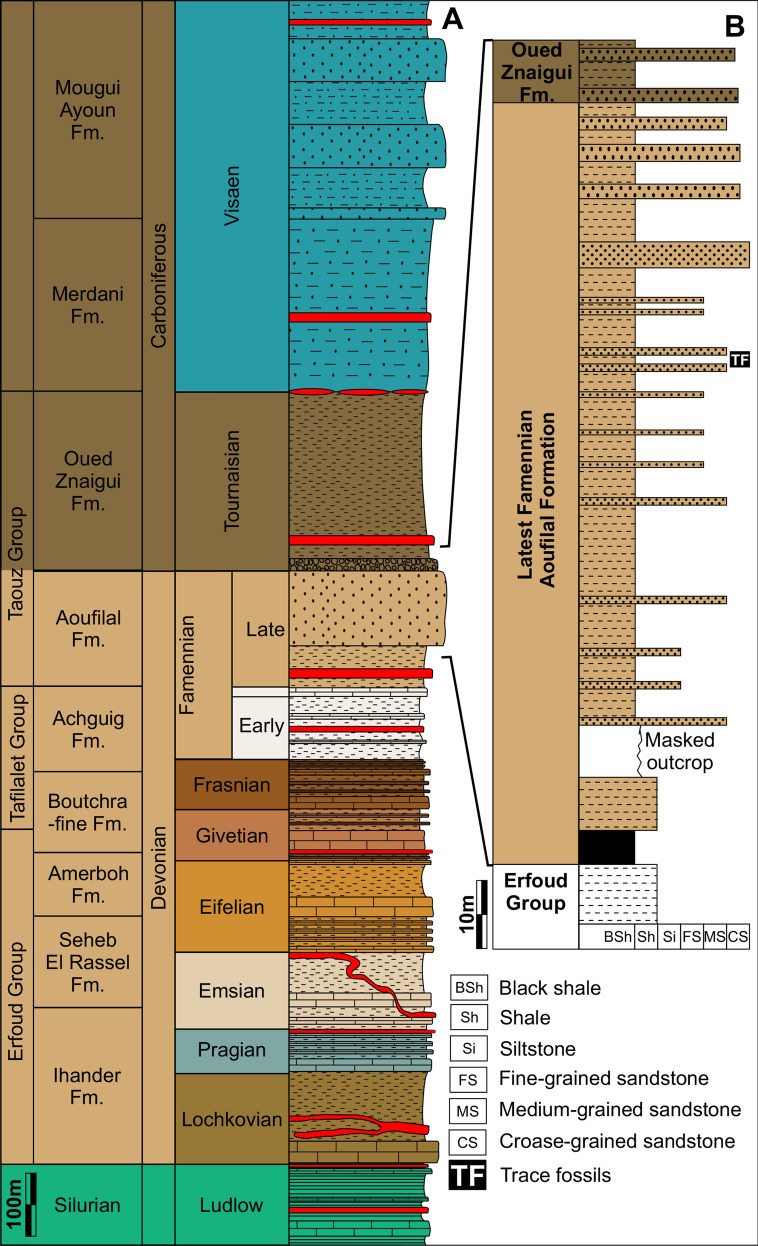 The swimming trace <i>Undichna</i> from the latest Devonian Hangenberg Sandstone equivalent of Morocco.