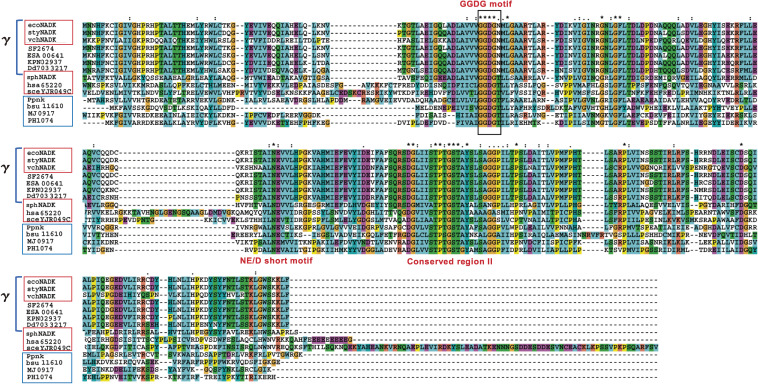 Polyphosphate-dependent nicotinamide adenine dinucleotide (NAD) kinase: A novel missing link in human mitochondria.