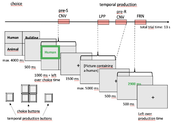 Neurocognitive Effects of Self-Determined Choice and Emotional Arousal on Time Estimation.