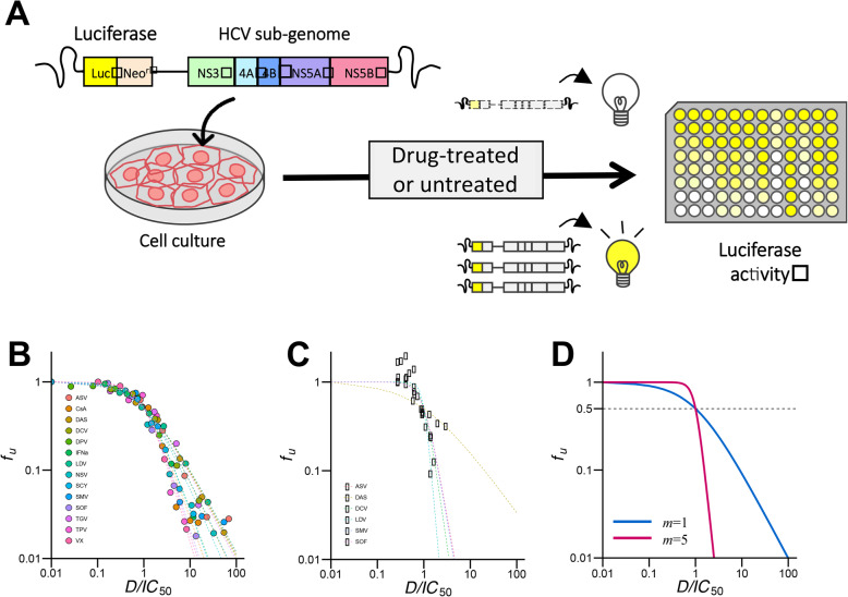 Required concentration index quantifies effective drug combinations against hepatitis C virus infection.