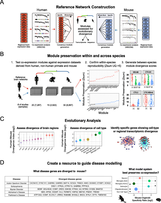 Evolutionary conservation and divergence of the human brain transcriptome.