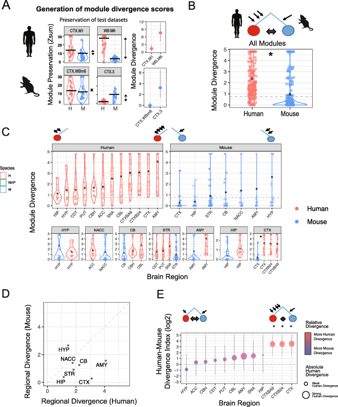 Evolutionary conservation and divergence of the human brain transcriptome.