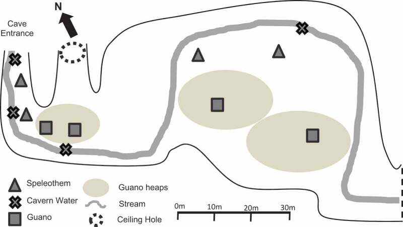 Fungal communities in bat guano, speleothem surfaces, and cavern water in Madai cave, Northern Borneo (Malaysia).