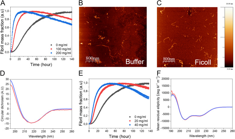 Response to crowded conditions reveals compact nucleus for amyloid formation of folded protein.