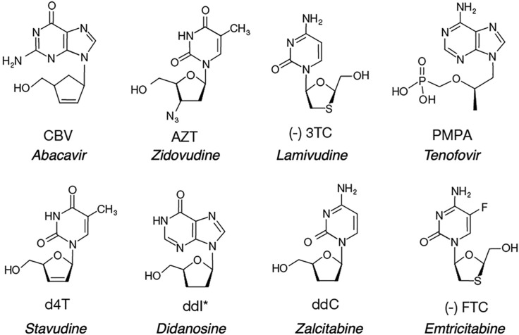 Mechanisms of inhibition of viral RNA replication by nucleotide analogs.