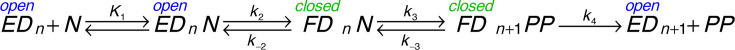 Mechanisms of inhibition of viral RNA replication by nucleotide analogs.