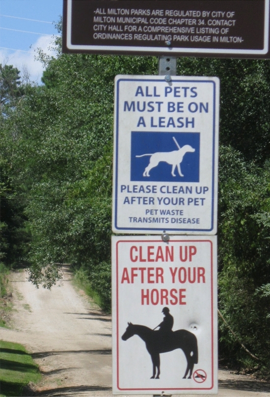 Re-designing America's suburbs for the age of climate change and pandemics.