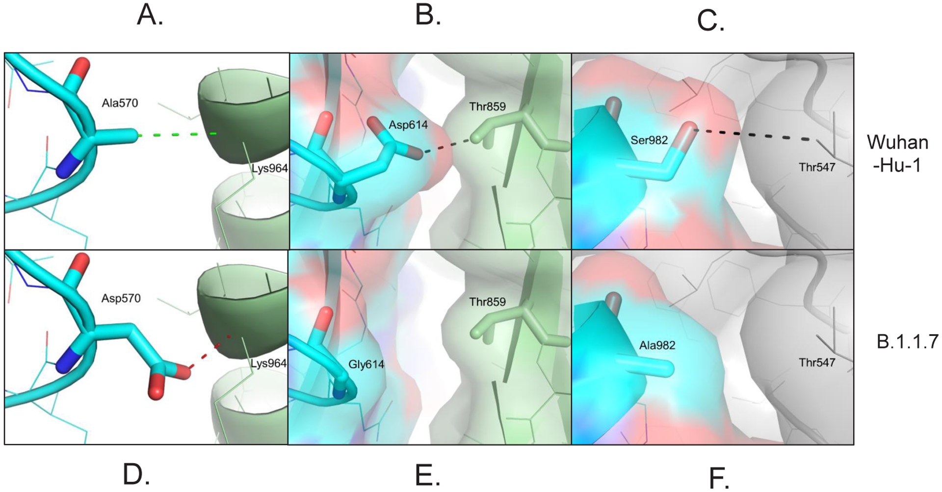 Structural Consequences of Variation in SARS-CoV-2 B.1.1.7.