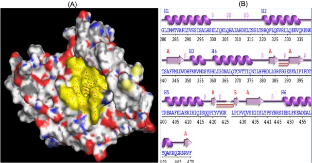 Design of novel hybrid secondary metabolite targets to diguanylate cyclase of <i>Acinetobacter baumannii</i>.