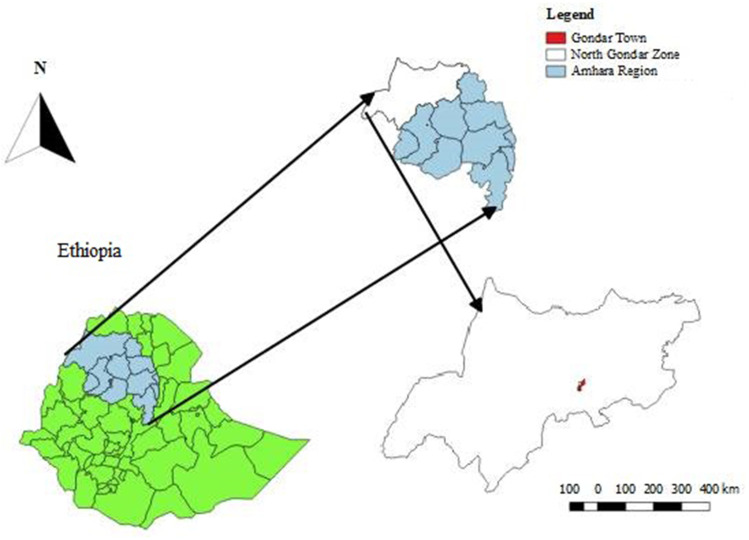 Assessment of Ruminal Disorders and Their Therapeutic Management at Three Veterinary Clinics in Gondar Town, North Western Ethiopia: A Retrospective Study.